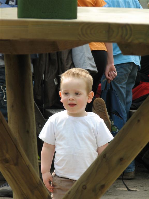 IMG_6059 (Large).jpg